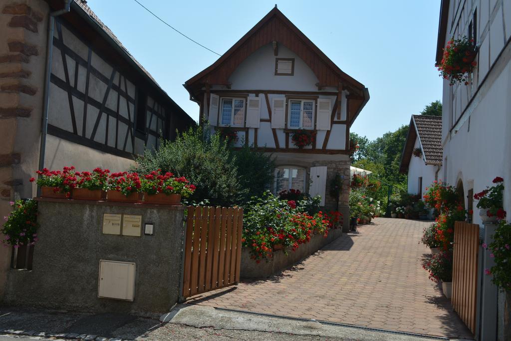 Vila Location Alice Ottrott Pokoj fotografie
