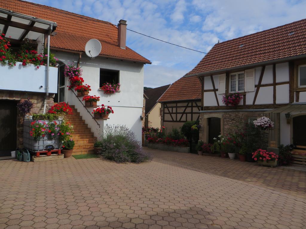 Vila Location Alice Ottrott Exteriér fotografie